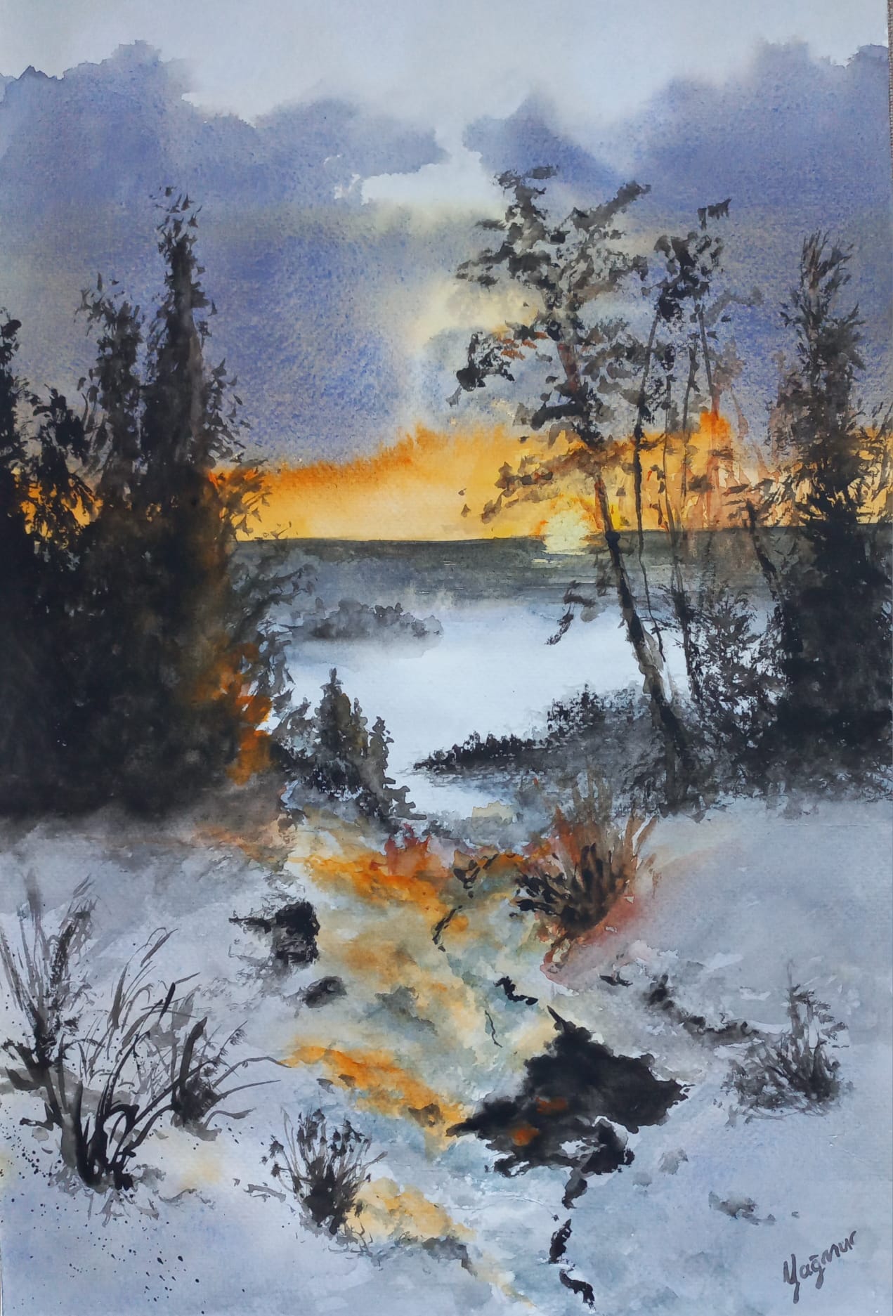 Winter Sunsets